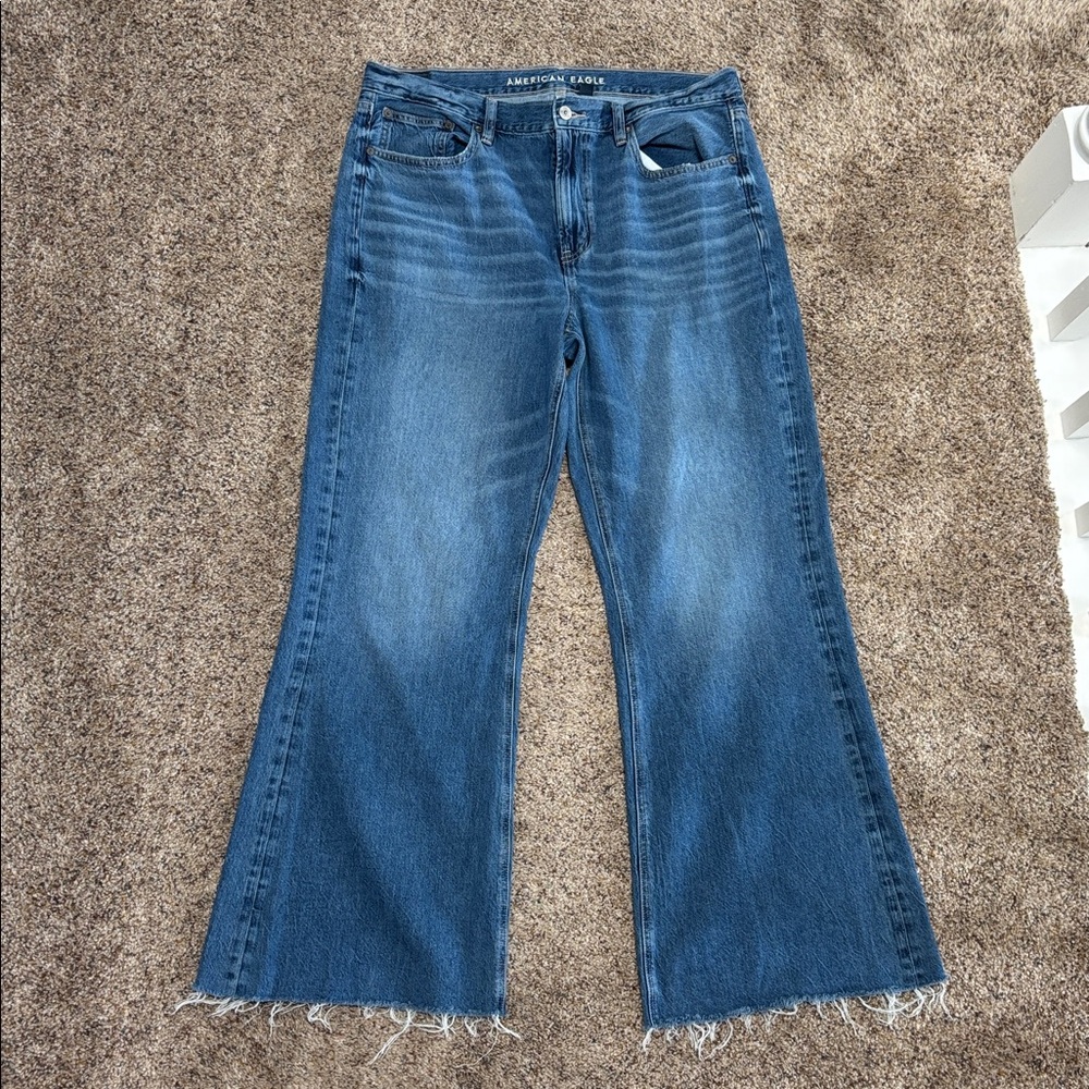 American Eagle Low-Rise Baggy Flare